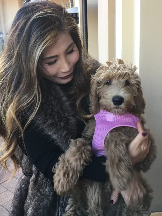 Fountain Valley Emergency Pet Hospital 4