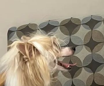 Warner West Pet Clinic