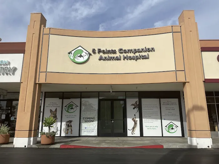 5 Points Companion Animal Hospital 1