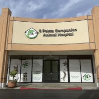 5 Points Companion Animal Hospital ico