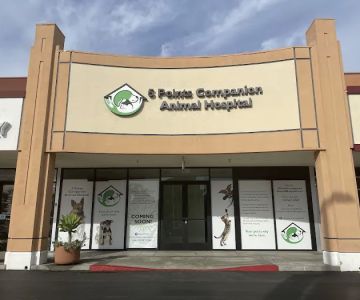 5 Points Companion Animal Hospital