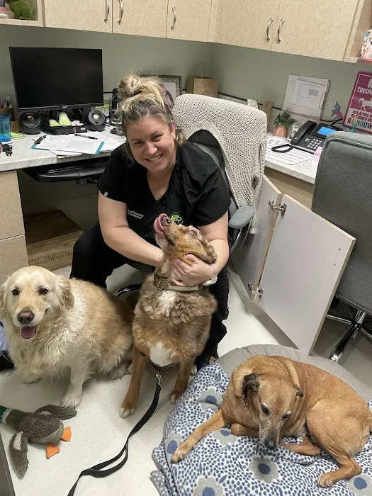 5 Points Companion Animal Hospital 2