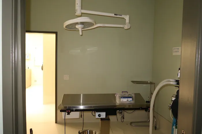 5 Points Companion Animal Hospital 3