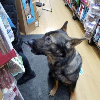 Pamper Ur Pets ico