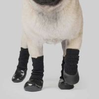 Le Chien Bleu NY pet boutique ico