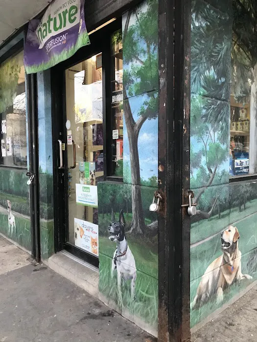 NYC Pet 7