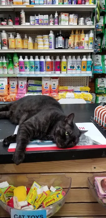 NYC Pet 8