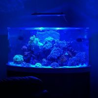 Aqua Spaces - Aquarium Maintenance ico