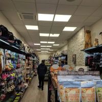 Pet Central ico