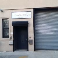 City Aquarium LLC ico