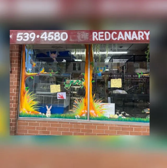Pet Shop Red Canary 3