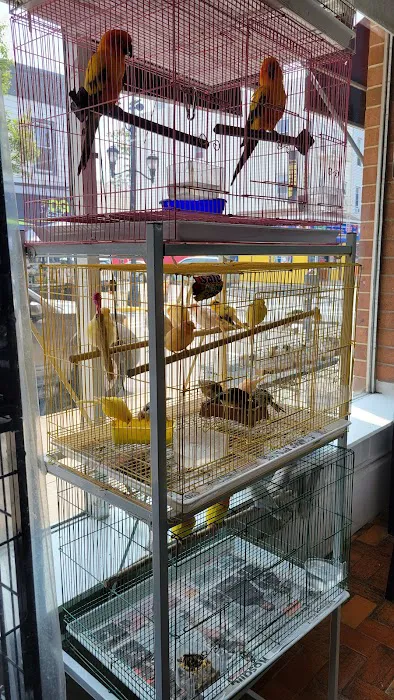 Pet Shop Red Canary 8