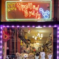 Spoiled Brats Pet Shop ico