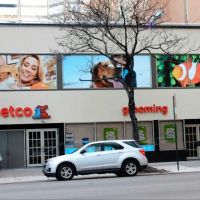 Petco ico