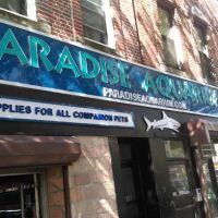 Paradise Aquarium ico