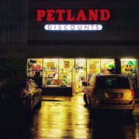 Petland Discounts - LI City ico