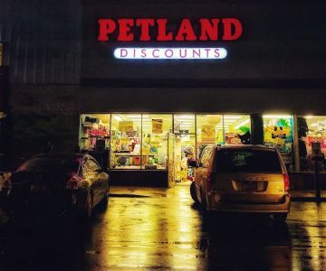 Petland Discounts - LI City