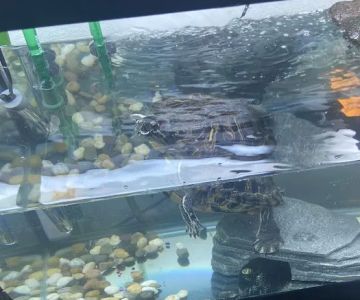 Father Natures Aquarium Services