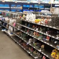 Petco ico