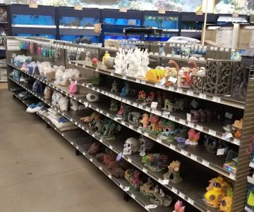 Petco