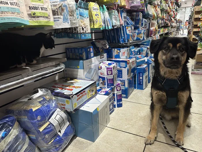 The Pet Market 3