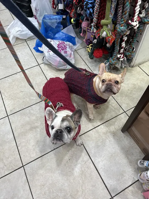 The Pet Market 8