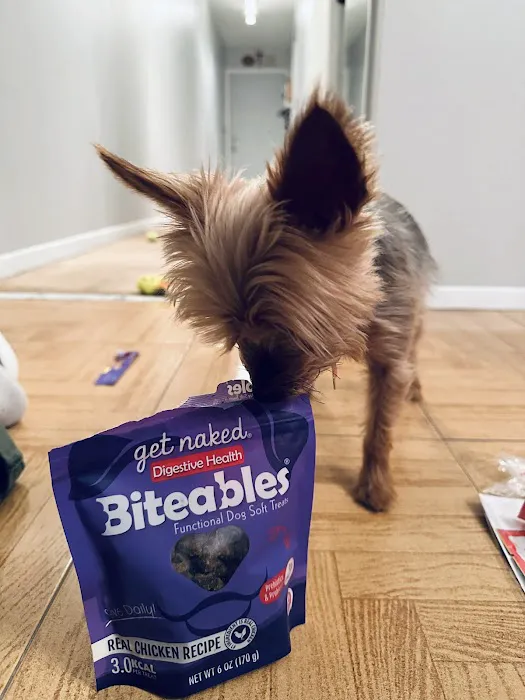 The Pet Market 9