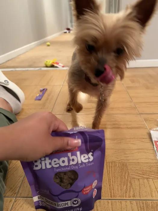 The Pet Market 7