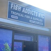 PET/FISH ADDICTS NYC ico