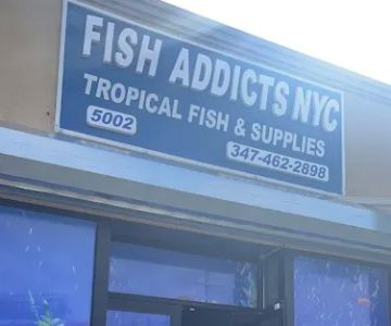 PET/FISH ADDICTS NYC