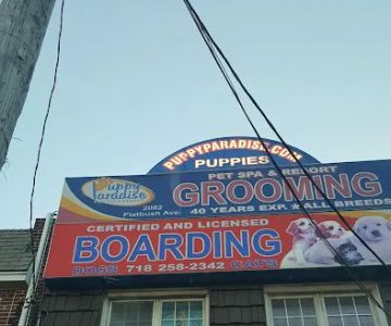 The Original Puppy Party!