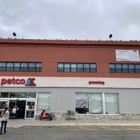 Petco ico