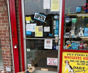Whiskers Holistic Pet Care