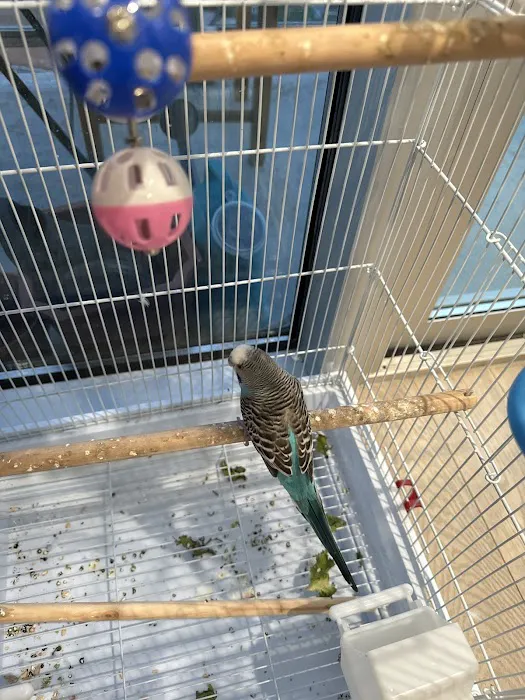 Tropical Pets Inc. 3
