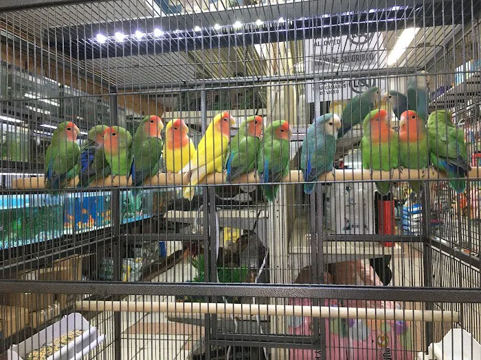 Tropical Pets Inc. 1