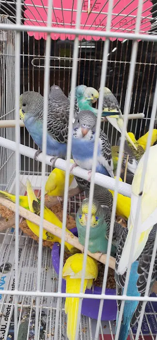 Tropical Pets Inc. 5