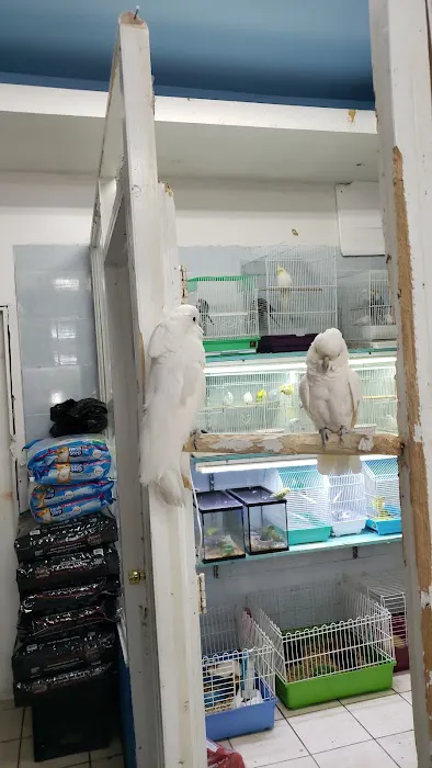 Tropical Pets Inc. 8