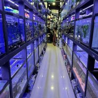 Monster Aquarium Inc - Shop in Queens New York ico