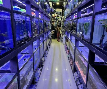 Monster Aquarium Inc - Shop in Queens New York