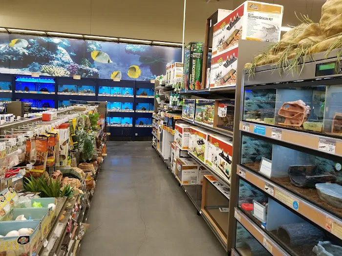 Petco 3