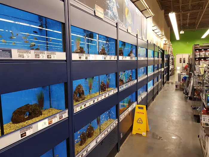 Petco 8