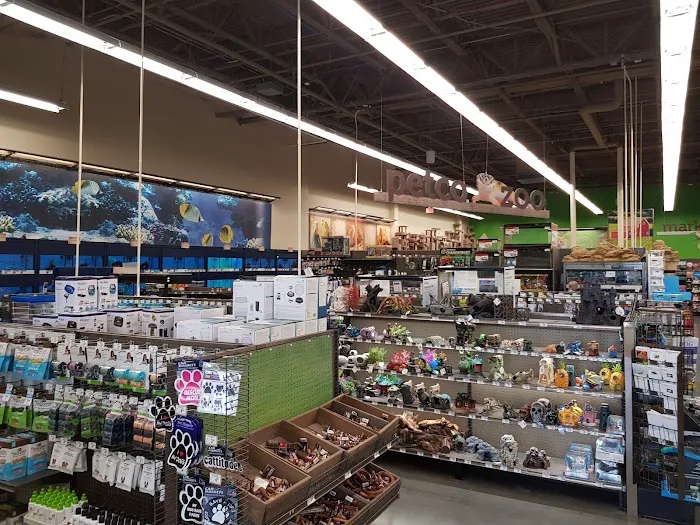 Petco 6