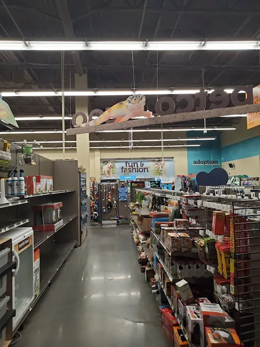 Petco 10