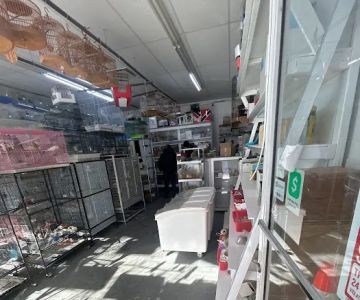 Royal Birds & Supplies