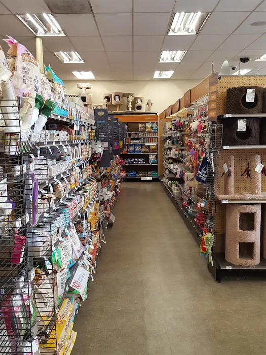 Petco 1