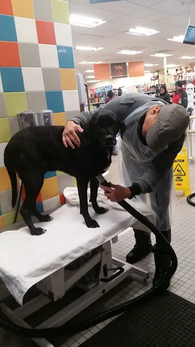 Petco 3