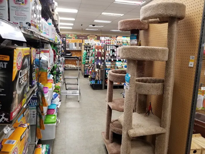 Petco 5