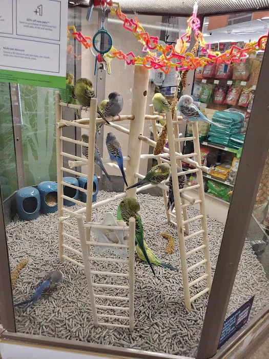 Petco 4