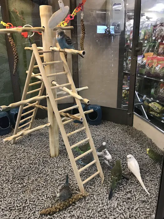 Petco 8