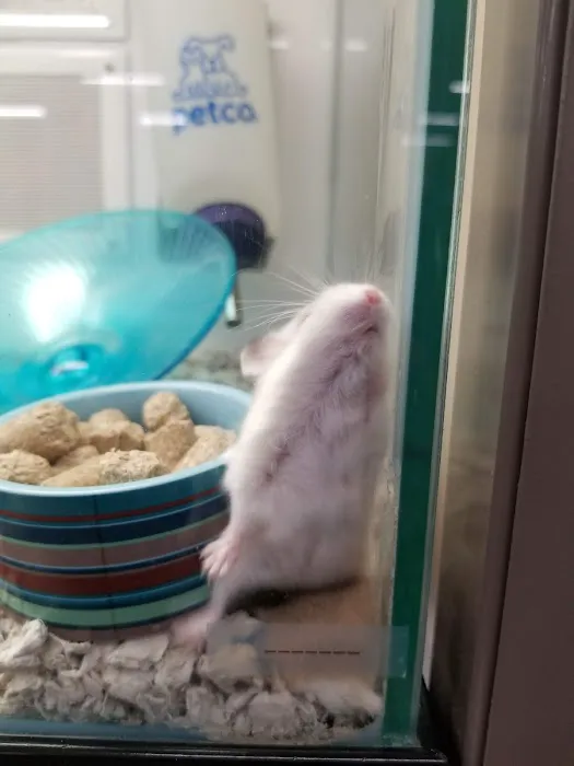 Petco 10